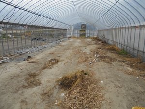 ビニールハウス内のお片付けの施工後