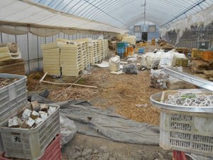 ビニールハウス内のお片付けの施工前