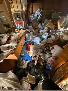 足の踏み場がないゴミ屋敷状態のお家整理(280,000円)の施工前