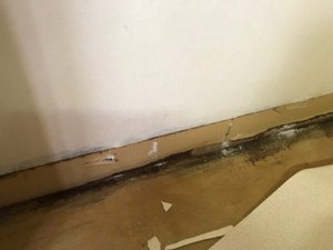 アパートで起きた孤独死現場の施工後