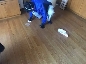 お宅で亡くなられた方の孤独死現場の施工後