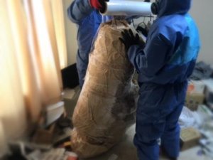 アパートで起きた孤独死現場の施工前