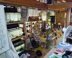 遺品整理1の施工前