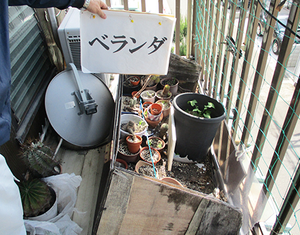 【ベランダ】鉢植えの撤去、清掃(11,000円)の施工前