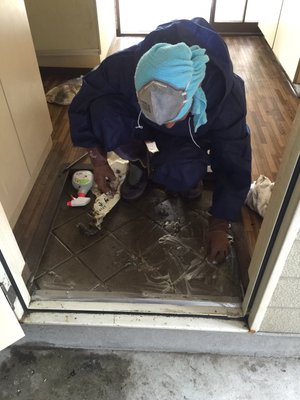 孤独死の消臭除菌から復旧工事までいたします。の施工後