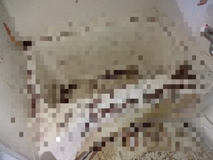 【2K】お急ぎのご依頼も早く、丁寧に対応いたします(208,000円)の施工前