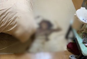 部分的な特殊清掃・殺菌(40,000円)の施工前