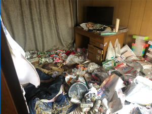 ゴミ屋敷清掃事例1の施工前