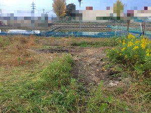 不用品と足場材で作られた倉庫の解体(69,800円)の施工後