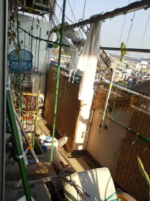 【2DK / 14㎥】どのようなご要望もお受けいたします(215,600円)の施工前