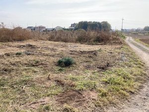 【母屋+外庭全般】遺品整理、スロープ解体・自動車処分のご依頼の施工後