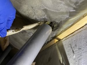 ネズミ駆除もお任せくださいの施工前