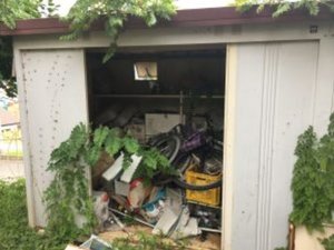 物置の片付け・解体の施工前