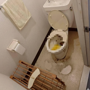 【トイレ】クリーニング+便座交換の施工前