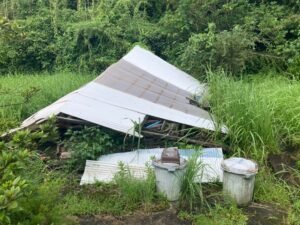 【霧島市】物置解体処分と不用品回収のご依頼の施工前