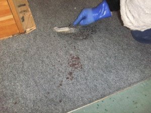 遺品整理と特殊清掃および相続専門家のご紹介の施工後