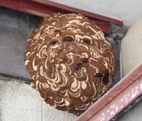 遺品整理後の住宅の管理や売却などもお任せください。