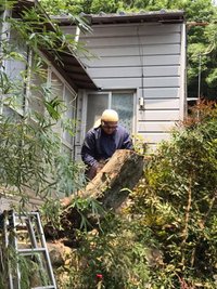 遺品整理以外にも、草刈り、草取り、伐採、その他ご相談ください!