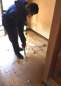 特殊清掃や、急増中!のゴミ屋敷の清掃もおまかせください。