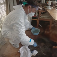 東北初の遺品整理士が在籍。メディア掲載、YouTube公開、14年連続優良事業所認定の信頼と実績。