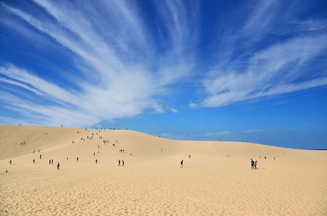 鳥取県の遺品整理の特徴