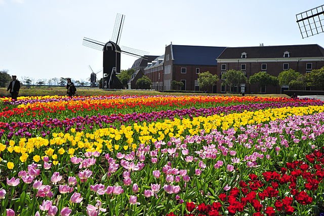 長崎県長崎市の遺品整理の特徴