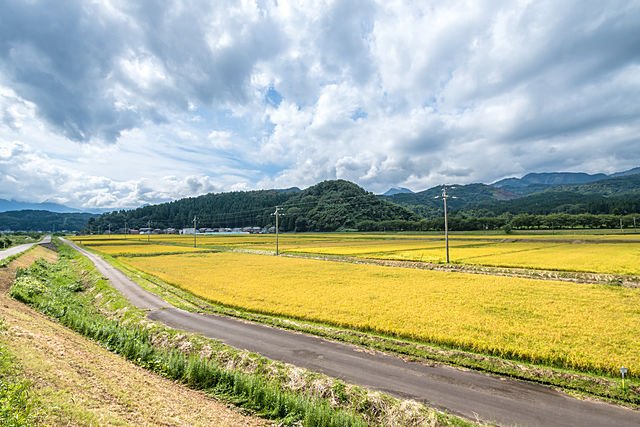 新潟県の遺品整理の特徴