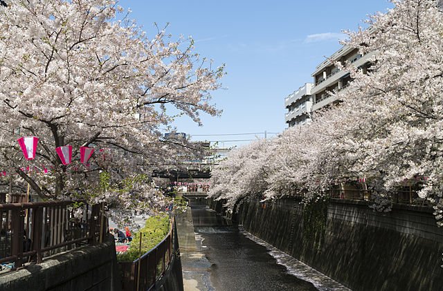東京都目黒区の遺品整理の特徴