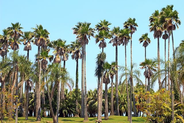 宮崎県宮崎市の遺品整理の特徴