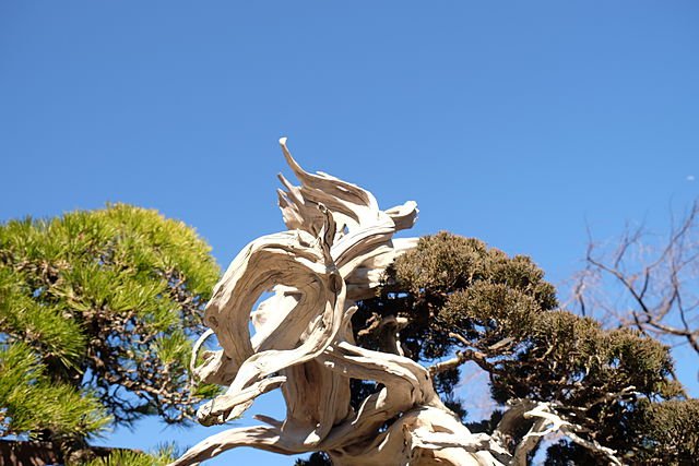 埼玉県さいたま市西区の遺品整理の特徴