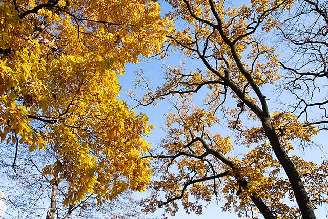 埼玉県さいたま市浦和区の遺品整理の特徴