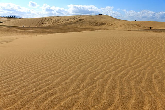 鳥取県鳥取市の遺品整理の特徴