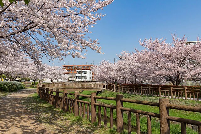 埼玉県さいたま市見沼区の遺品整理の特徴