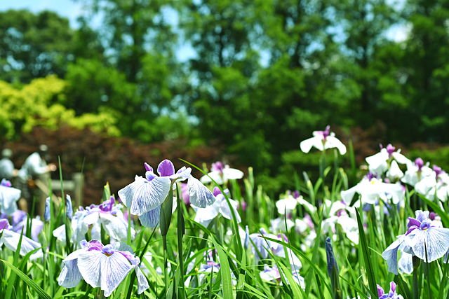 埼玉県さいたま市桜区の遺品整理の特徴
