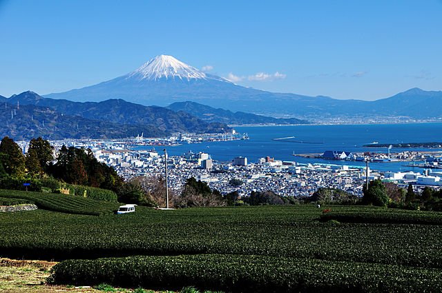 静岡県静岡市の遺品整理の特徴
